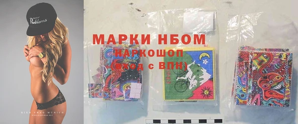 PSILOCYBIN Каменногорск