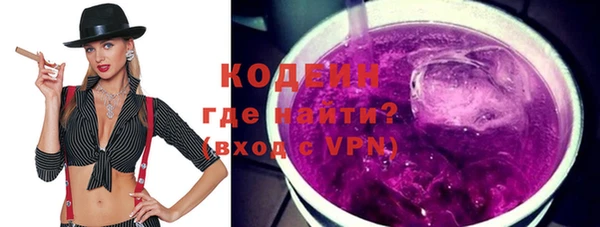 МДПВ Каменка