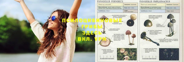МДПВ Каменка