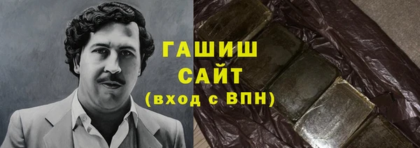 МДПВ Каменка