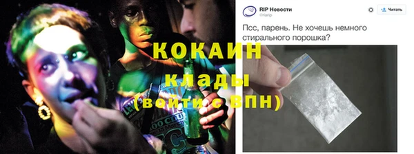 PSILOCYBIN Каменногорск