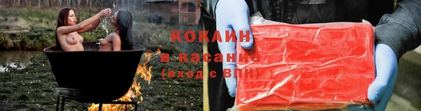 МДПВ Каменка