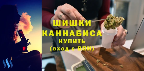 МДПВ Каменка