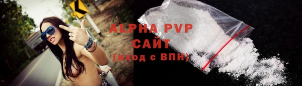 PSILOCYBIN Каменногорск