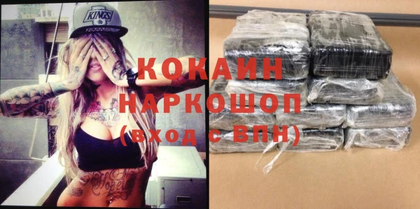 МДПВ Каменка