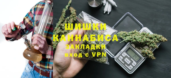 PSILOCYBIN Каменногорск