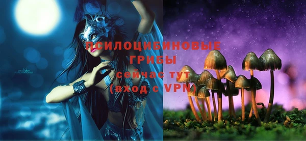 PSILOCYBIN Каменск-Шахтинский