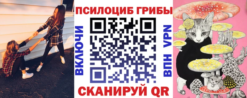 Купить закладки  Пыталово  Галлюциногенные грибы ЛСД 
